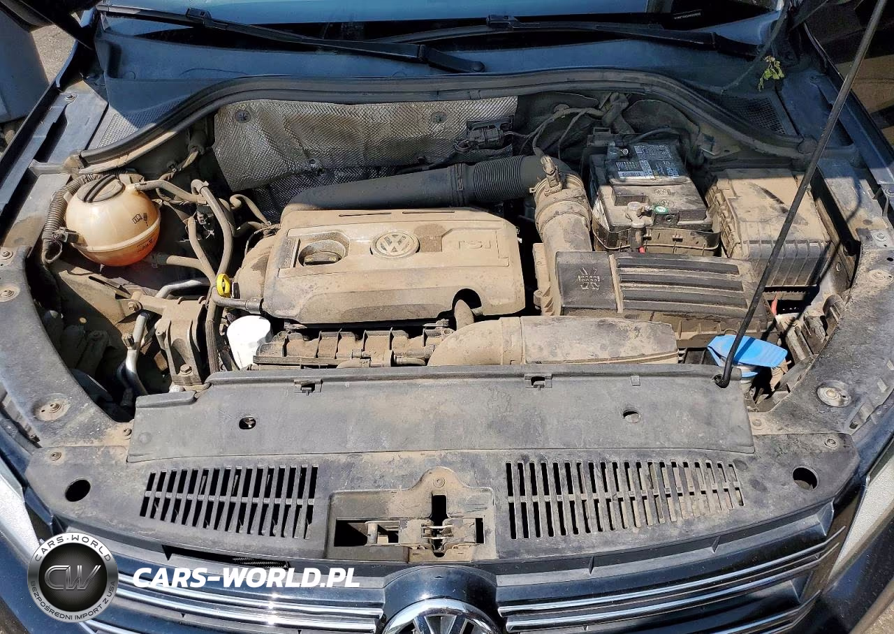 2017 Volkswagen Tiguan S VIN:WVGBV7AX5HK020920 - 12