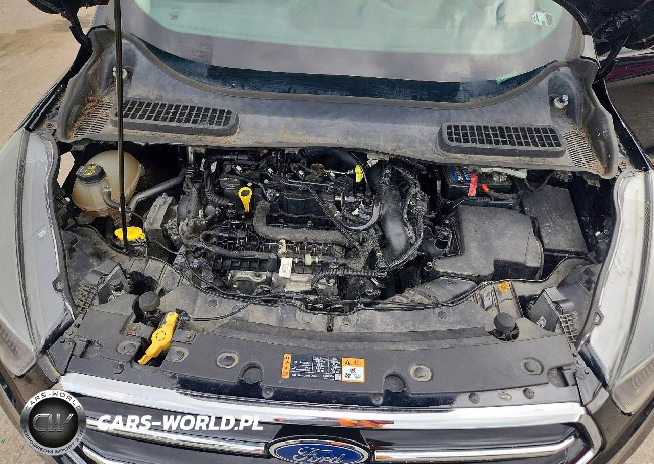 2017 Ford Escape Se VIN:1FMCU9GDXHUE05717 - 12