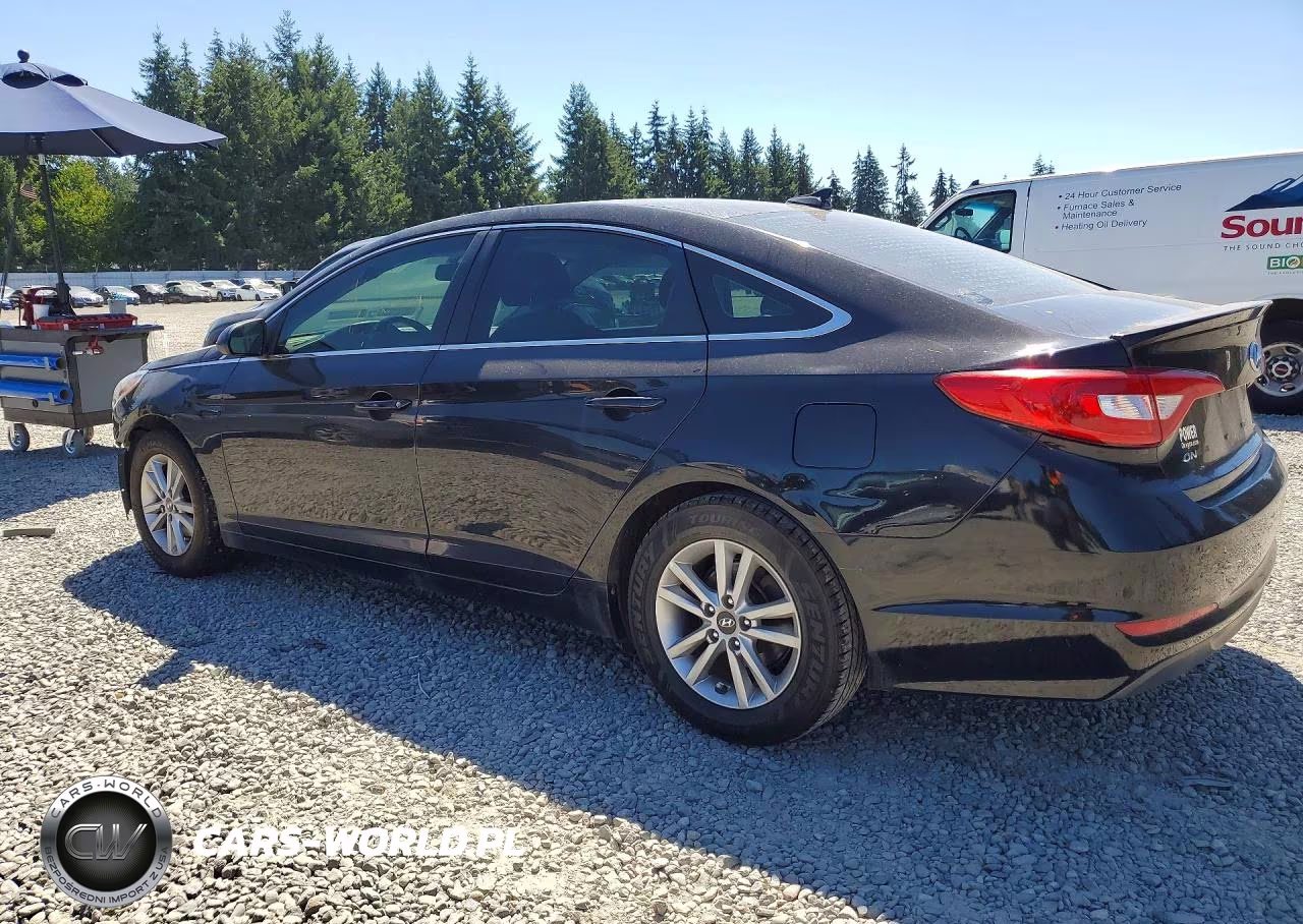 2016 Hyundai Sonata Se VIN:5NPE24AF0GH343124 - 2