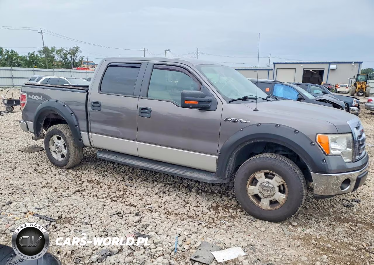 2009 Ford F150 Supercrew VIN:1FTRW14859FB27980 - 4