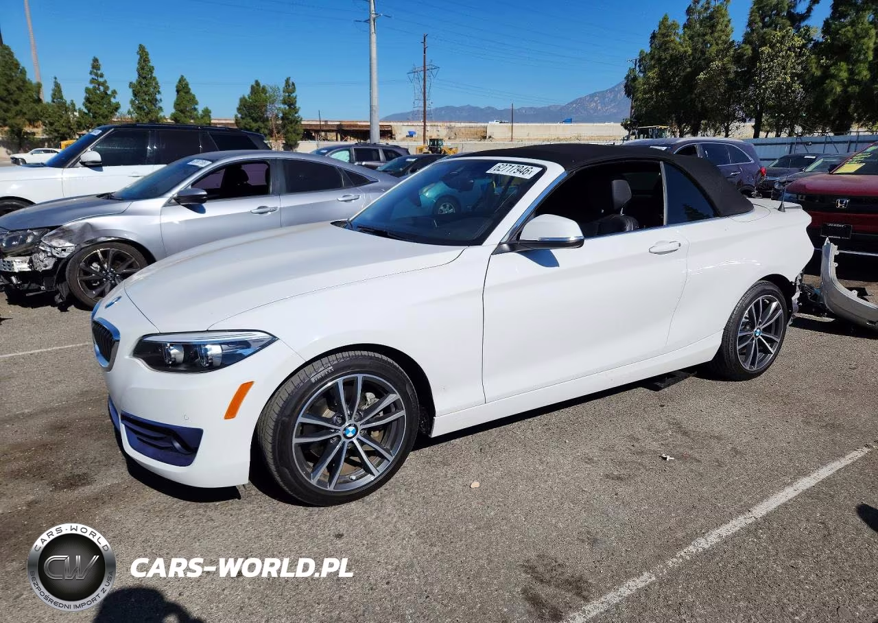 2019 BMW 230I
