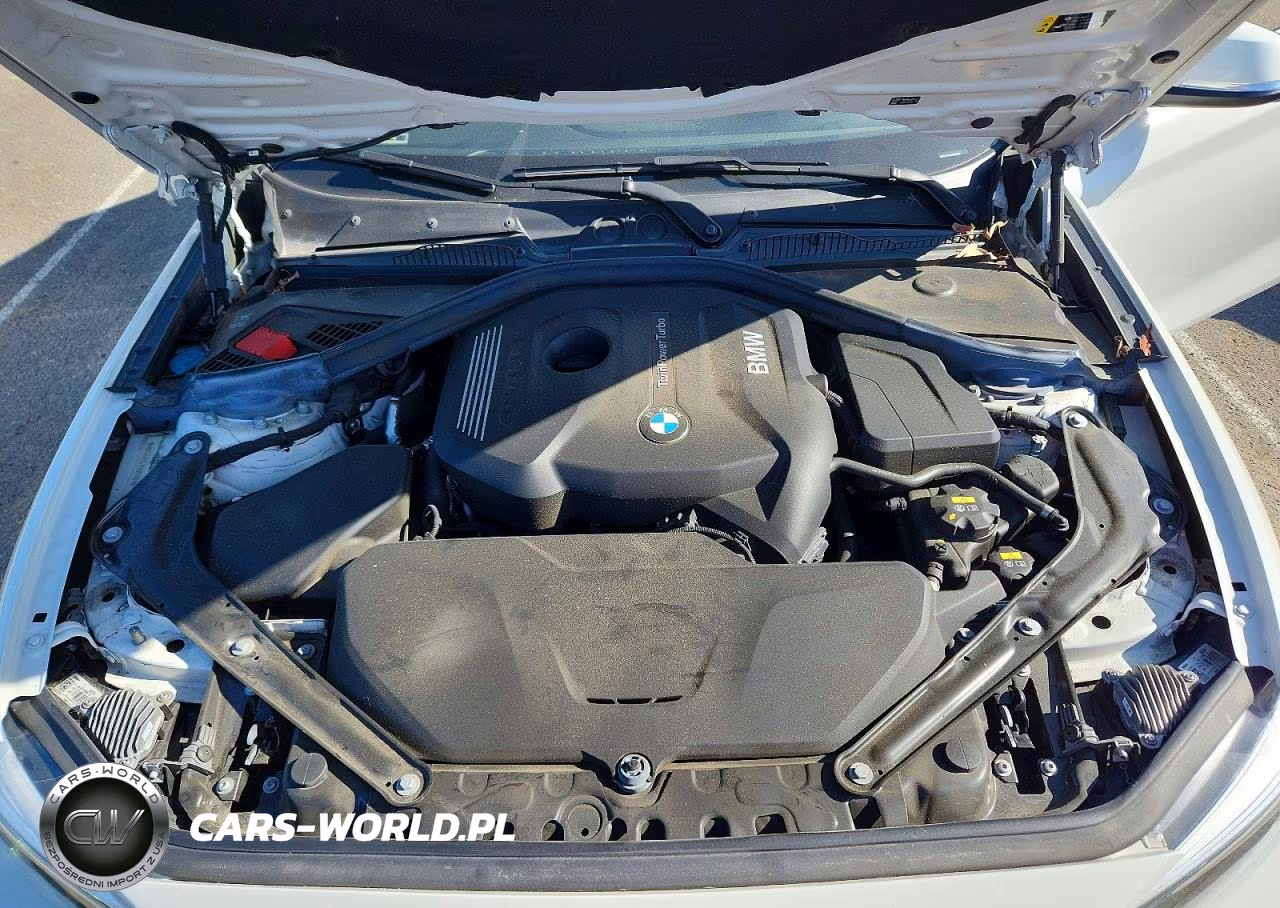 2019 BMW 230I VIN:WBA2M7C57KVD51961 - 11