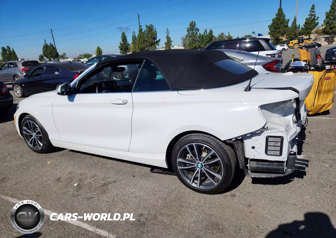 2019 BMW 230I VIN:WBA2M7C57KVD51961 - 2
