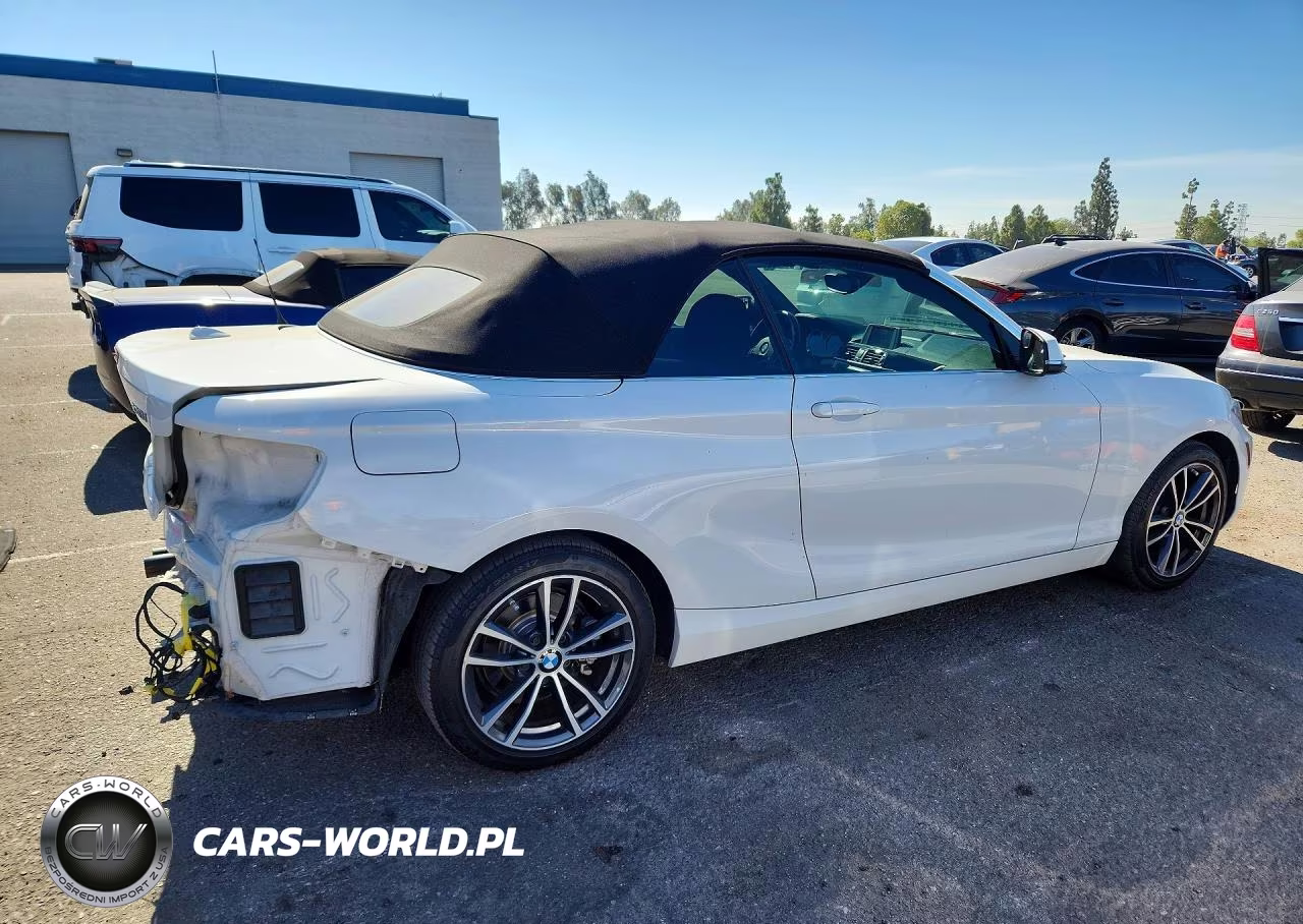 2019 BMW 230I VIN:WBA2M7C57KVD51961 - 3