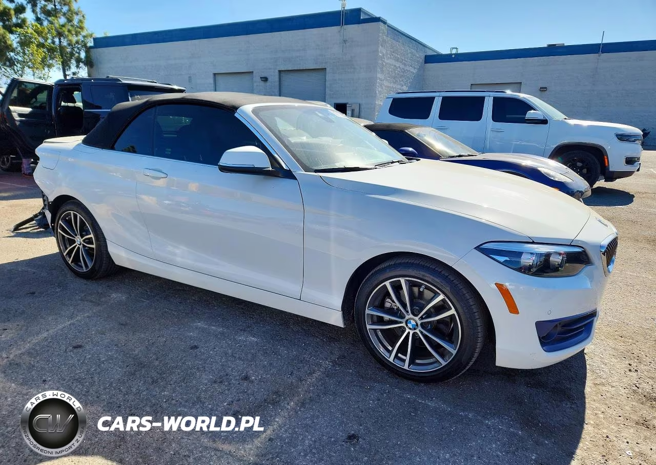 2019 BMW 230I VIN:WBA2M7C57KVD51961 - 4