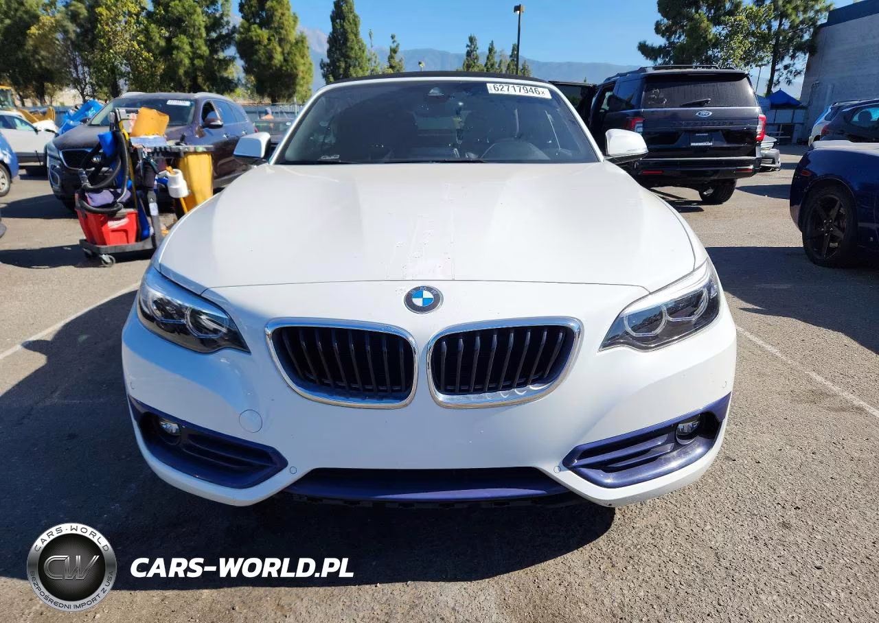 2019 BMW 230I VIN:WBA2M7C57KVD51961 - 5