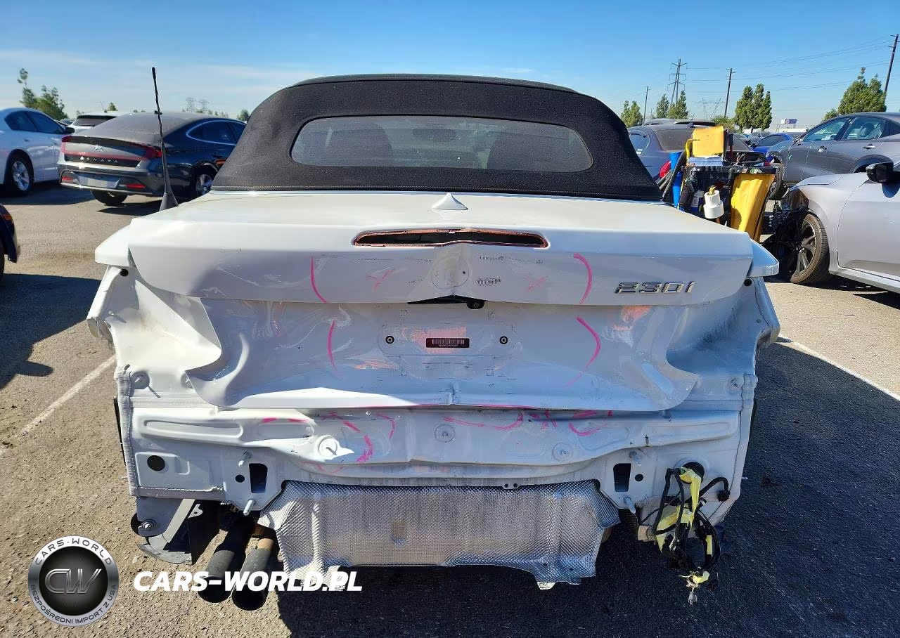 2019 BMW 230I VIN:WBA2M7C57KVD51961 - 6