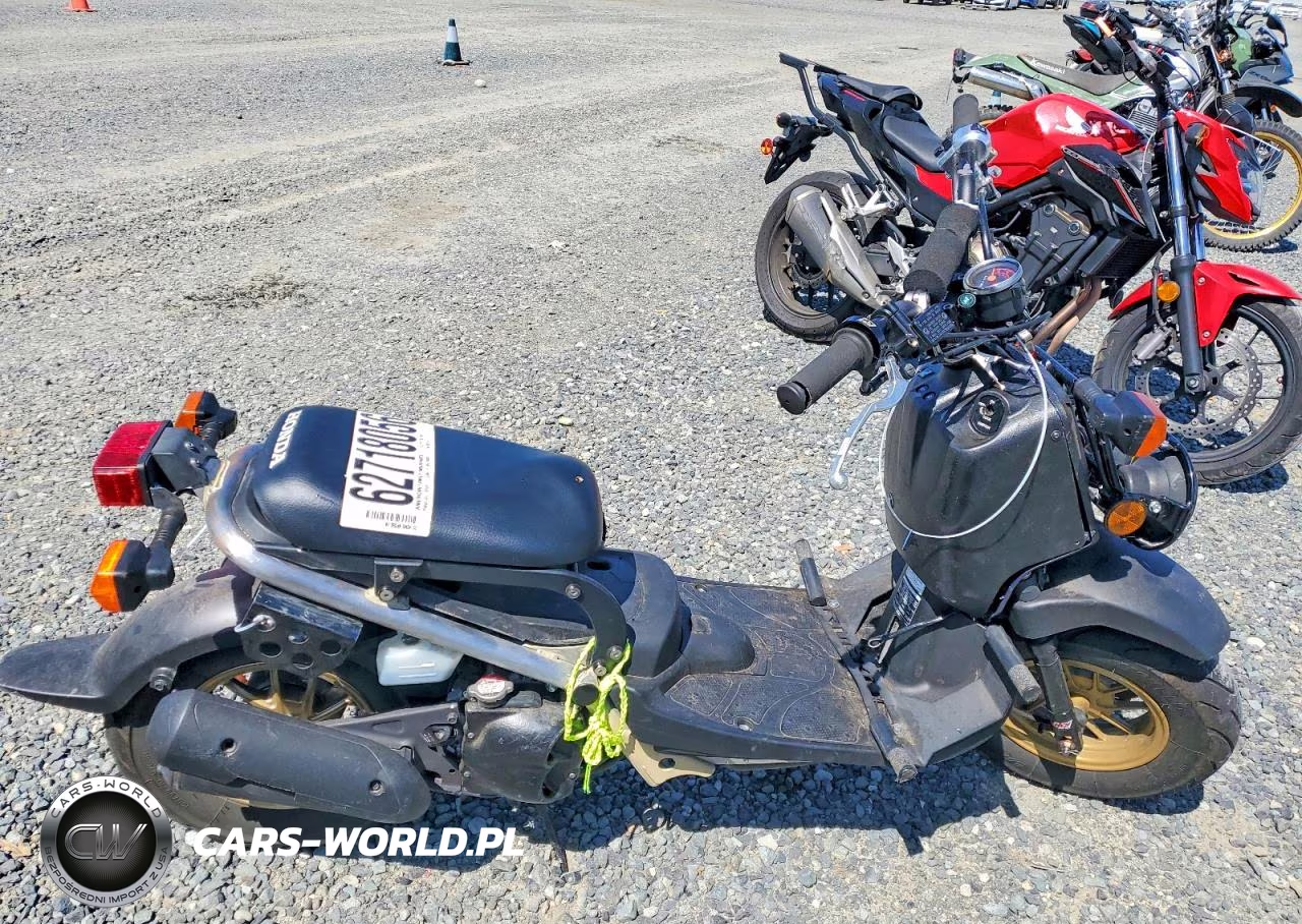 2022 Honda Nps50
