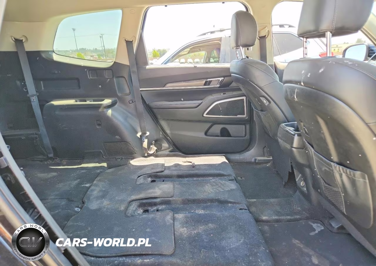 2021 Kia Telluride Ex VIN:5XYP3DHC5MG128410 - 11