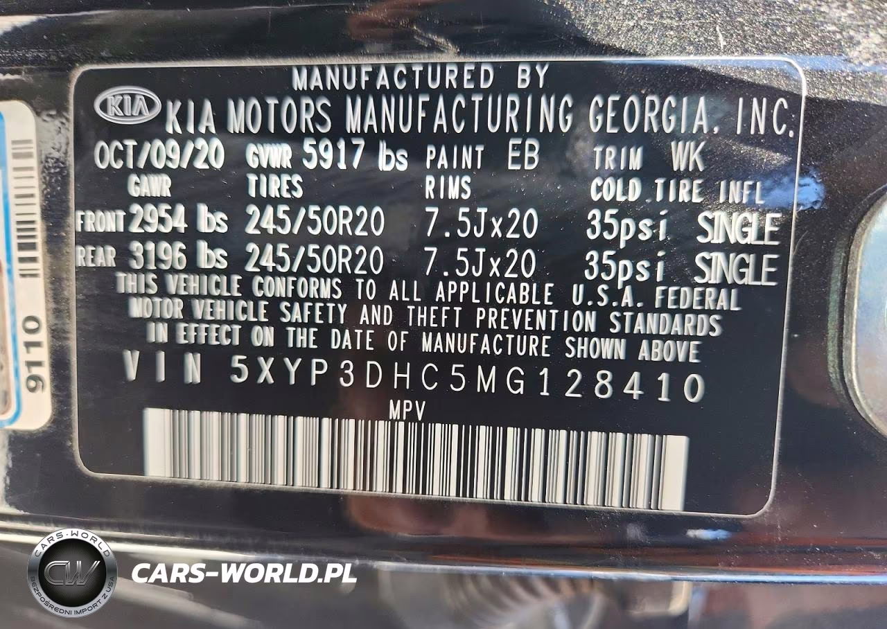2021 Kia Telluride Ex VIN:5XYP3DHC5MG128410 - 13