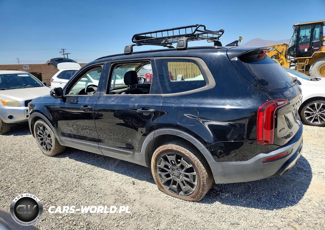 2021 Kia Telluride Ex VIN:5XYP3DHC5MG128410 - 2