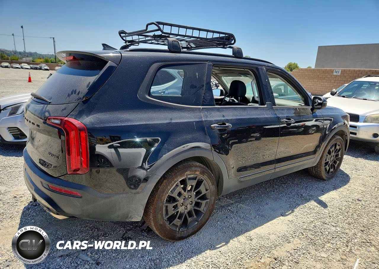 2021 Kia Telluride Ex VIN:5XYP3DHC5MG128410 - 3