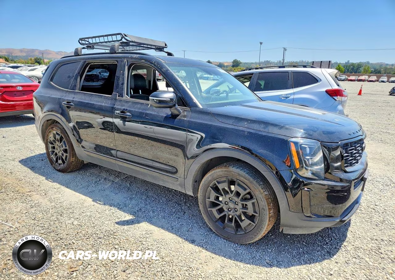 2021 Kia Telluride Ex VIN:5XYP3DHC5MG128410 - 4