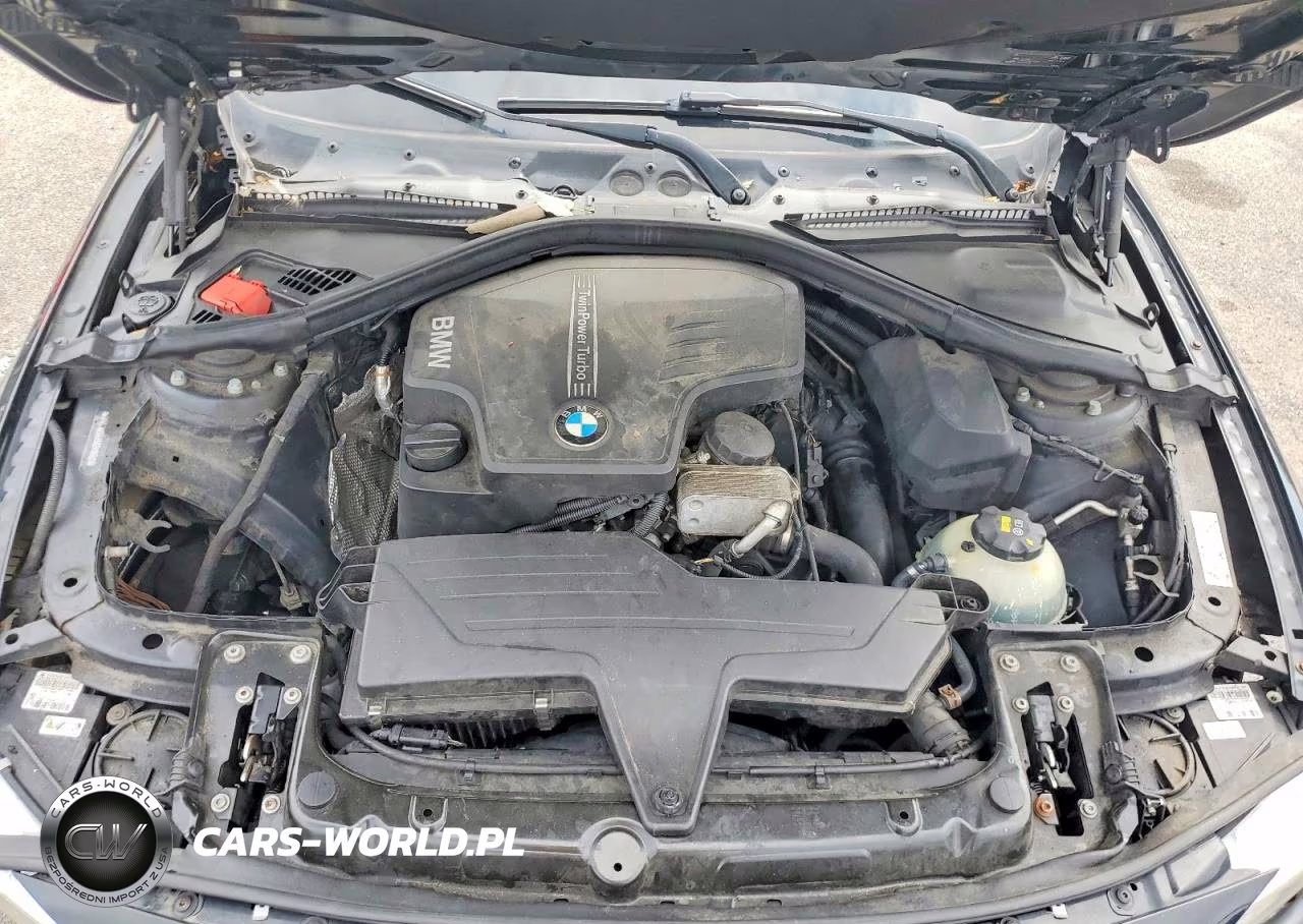 2016 BMW 428 Xi VIN:WBA3N9C52GK249650 - 11