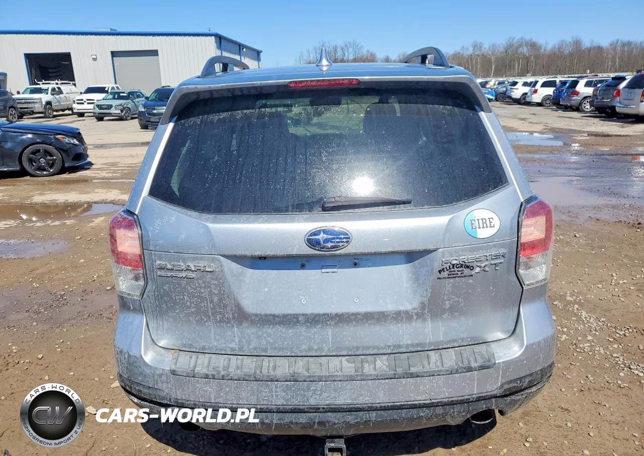 2017 Subaru Forester 2.0Xt Touring VIN:JF2SJGTC9HH425302 - 12