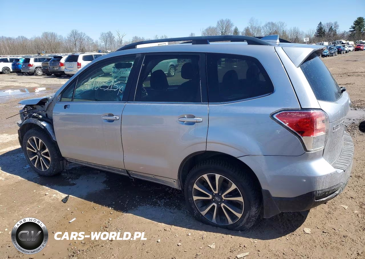 2017 Subaru Forester 2.0Xt Touring VIN:JF2SJGTC9HH425302 - 4