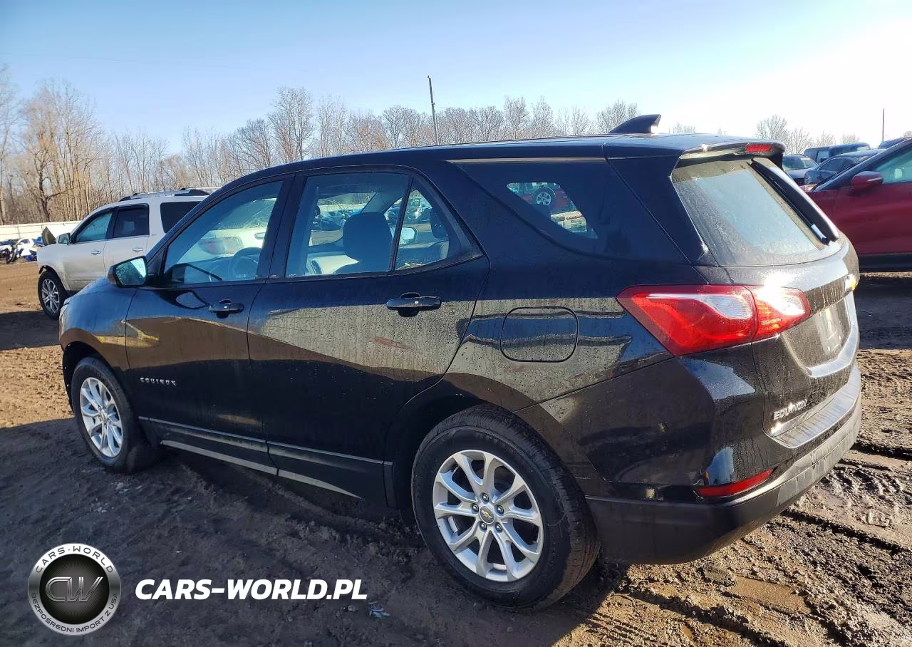 2019 Chevrolet Equinox Ls VIN:2GNAXHEV3K6251549 - 2