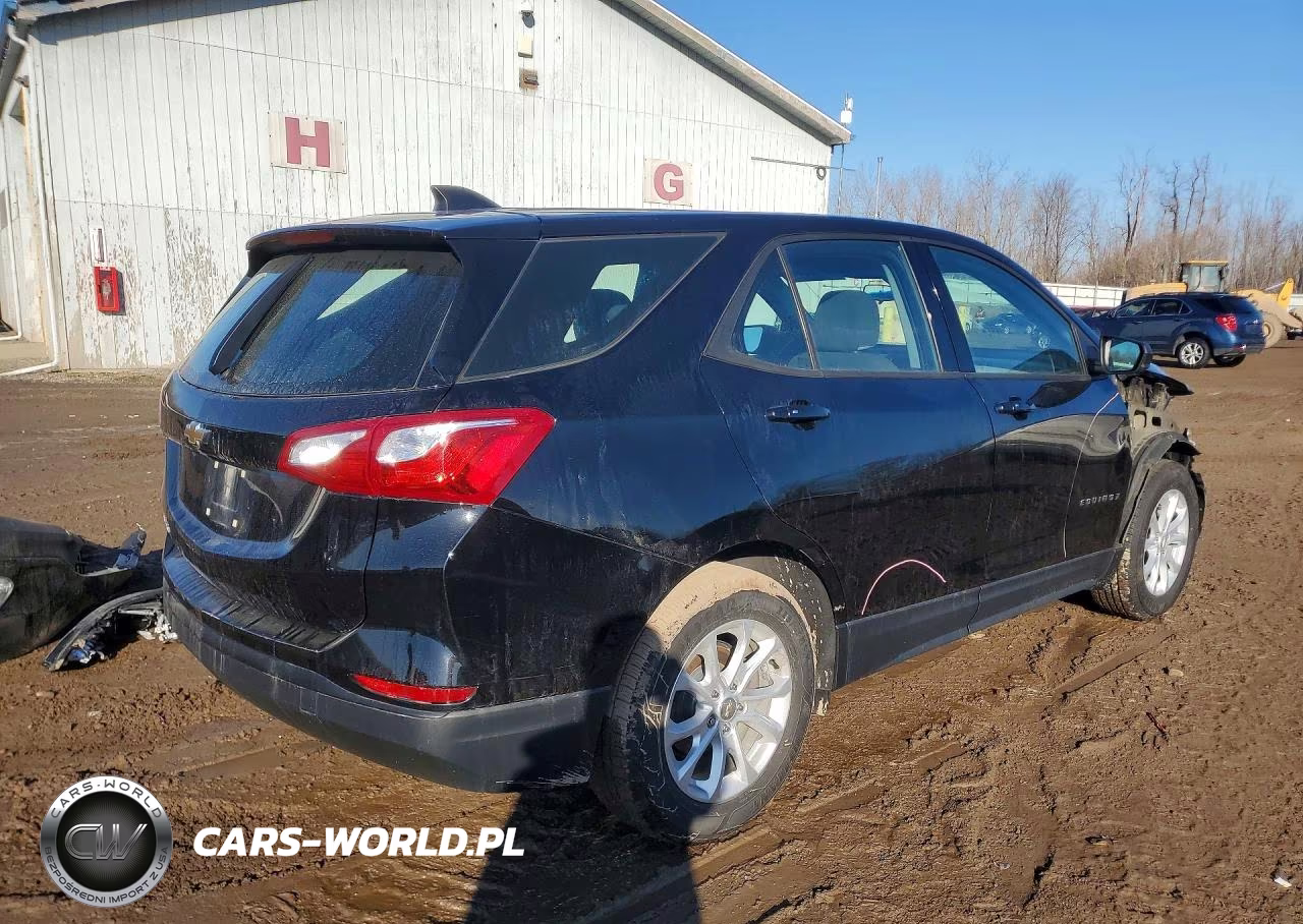 2019 Chevrolet Equinox Ls VIN:2GNAXHEV3K6251549 - 3