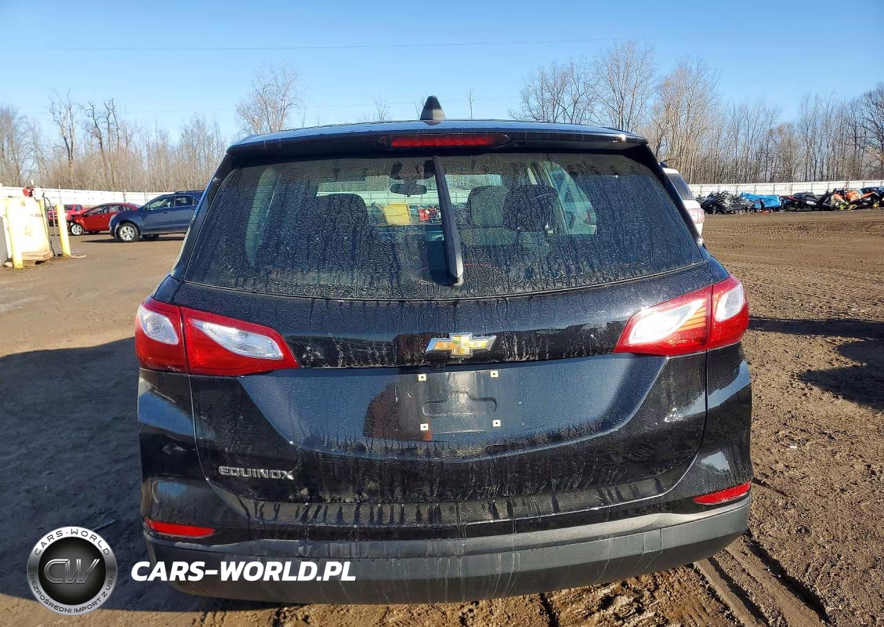 2019 Chevrolet Equinox Ls VIN:2GNAXHEV3K6251549 - 6