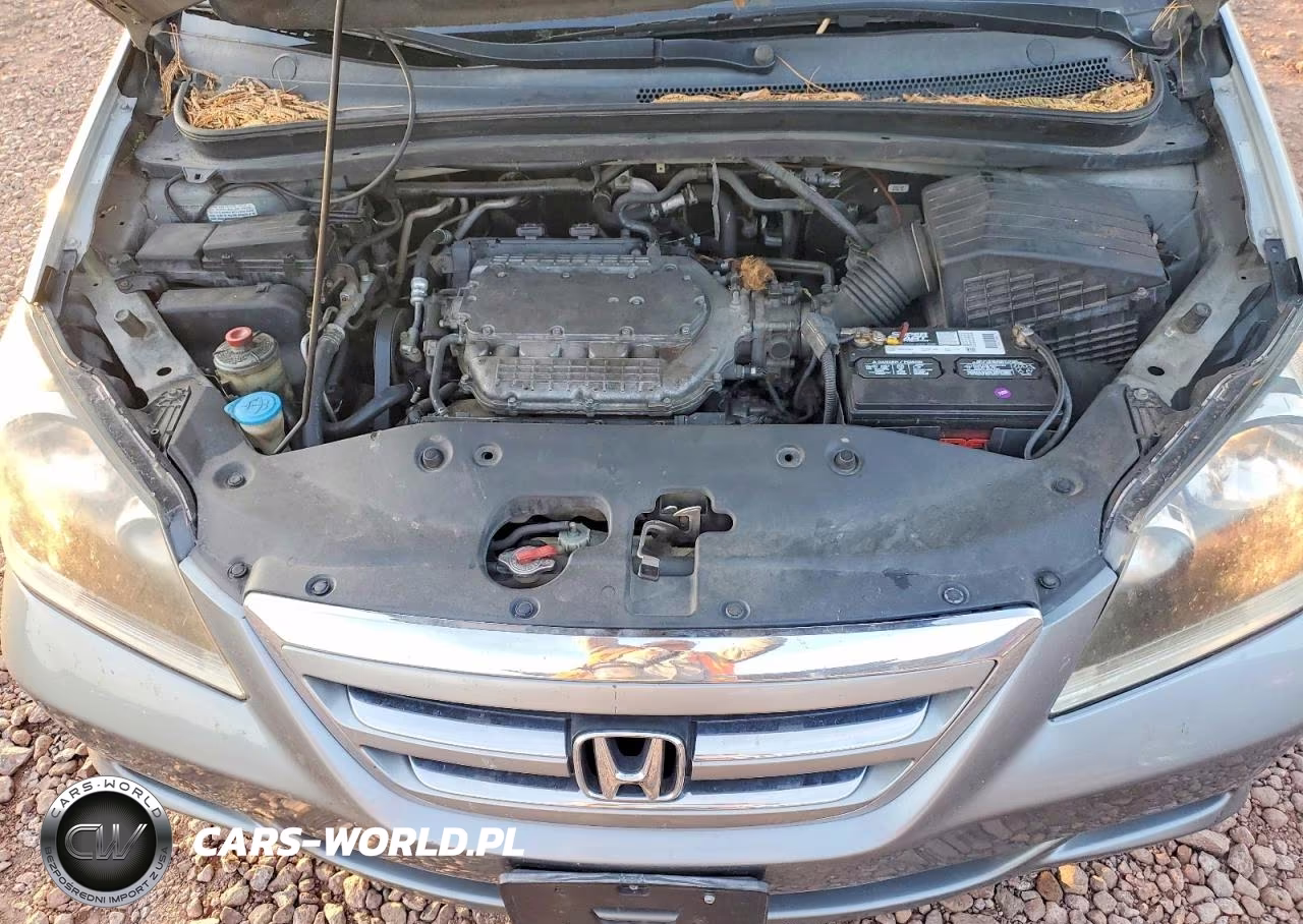 2006 Honda Odyssey VIN:5FNRL38636B057005 - 12