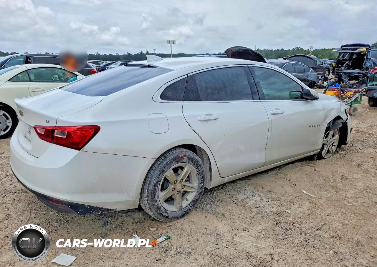2023 Chevrolet Malibu Lt VIN:1G1ZD5ST7PF180805 - 3