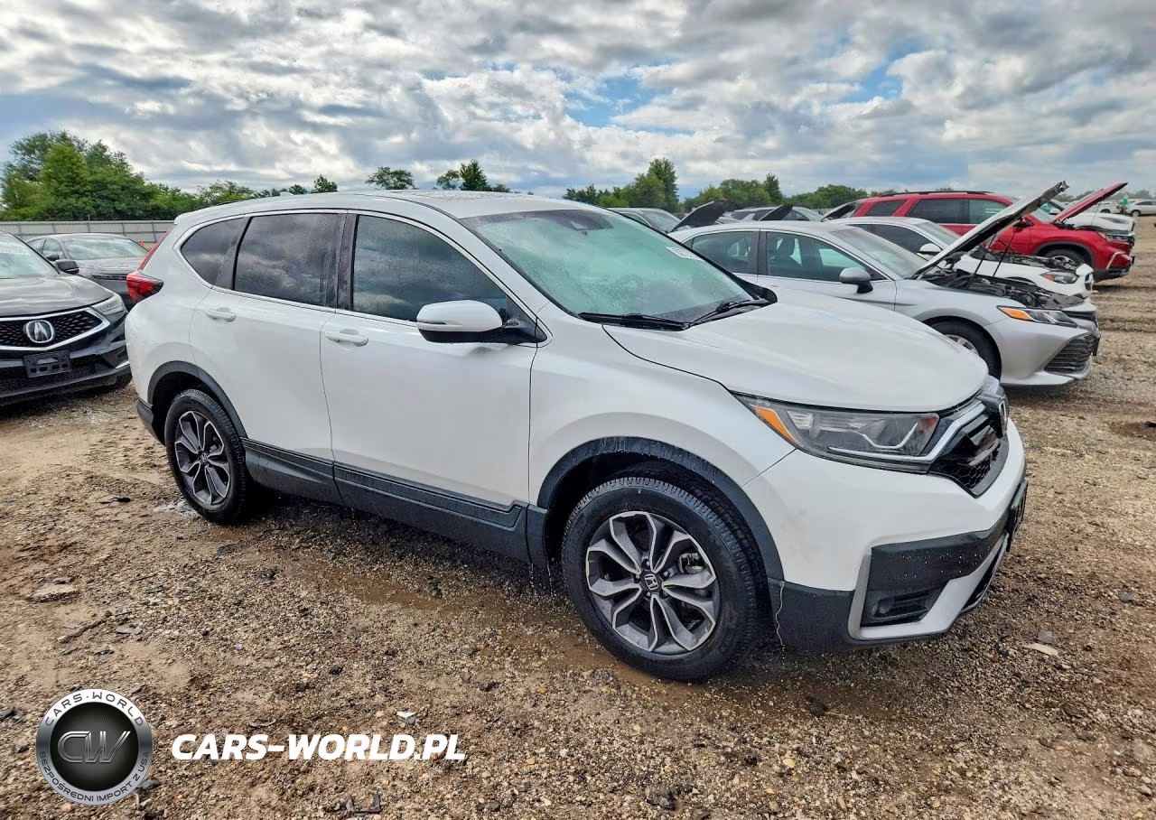 2020 Honda Cr-V Exl VIN:5J6RW2H86LL010377 - 4
