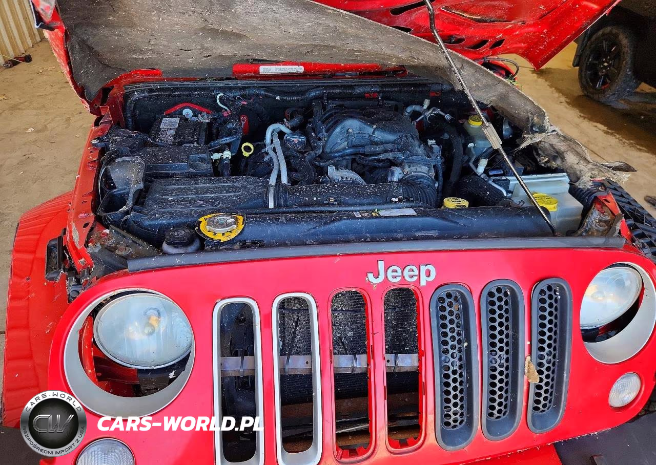 2016 Jeep Wrangler Unlimited Sahara VIN:1C4BJWEGXGL182278 - 11
