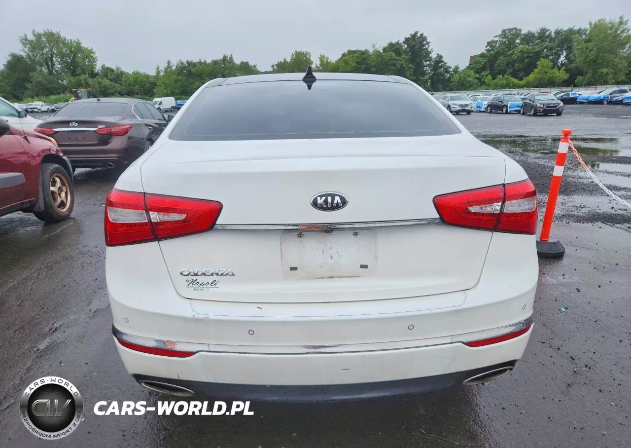 2016 Kia Cadenza Luxury VIN:KNALN4D74G5206767 - 6