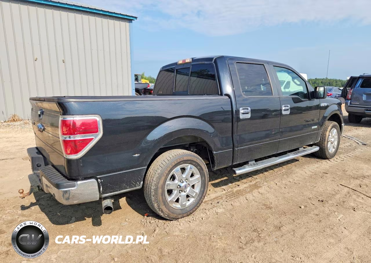 2013 Ford F150 Supercrew VIN:1FTFW1CT4DKF46041 - 3