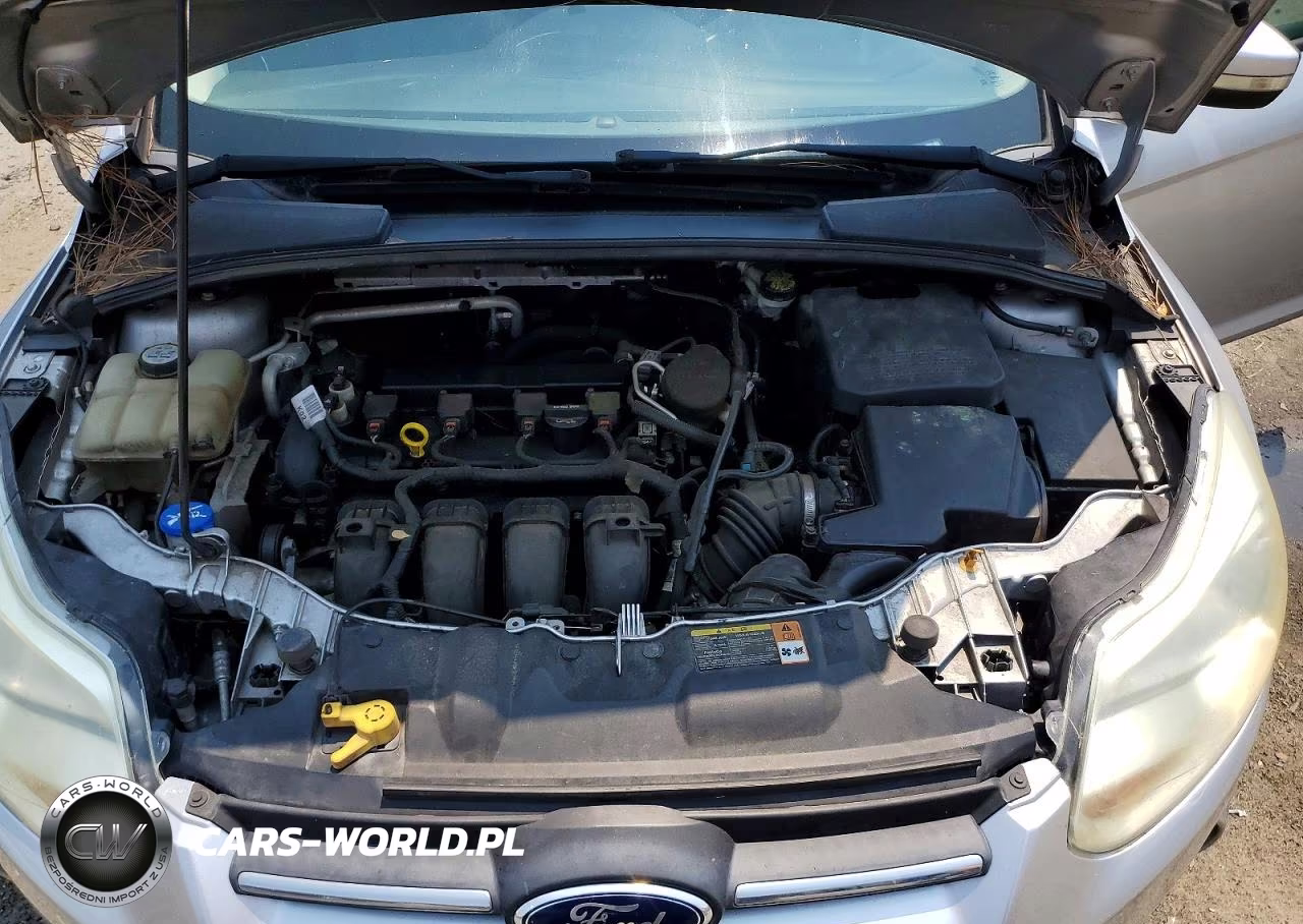 2013 Ford Focus Se VIN:1FADP3K20DL247543 - 11