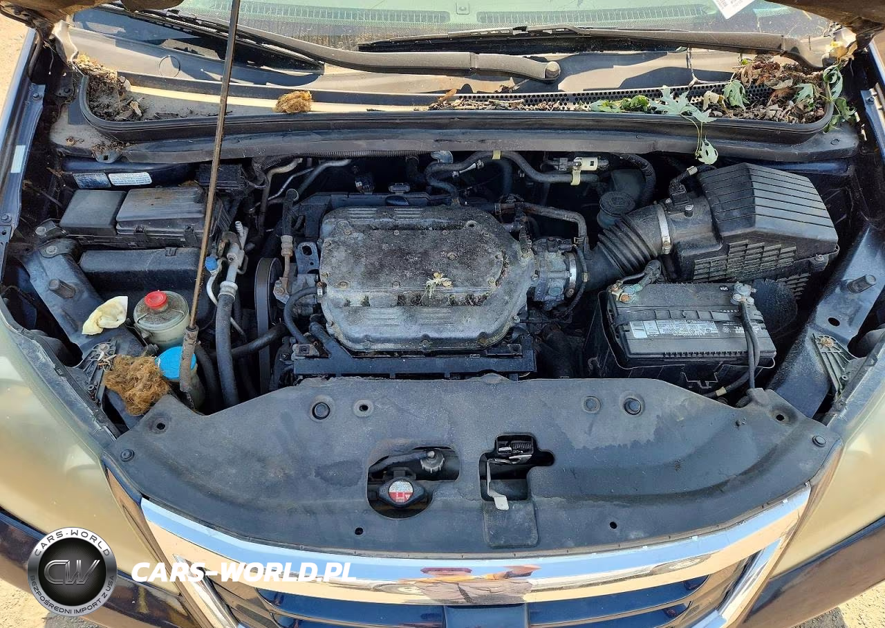 2010 Honda Odyssey Exl VIN:5FNRL3H74AB076373 - 12