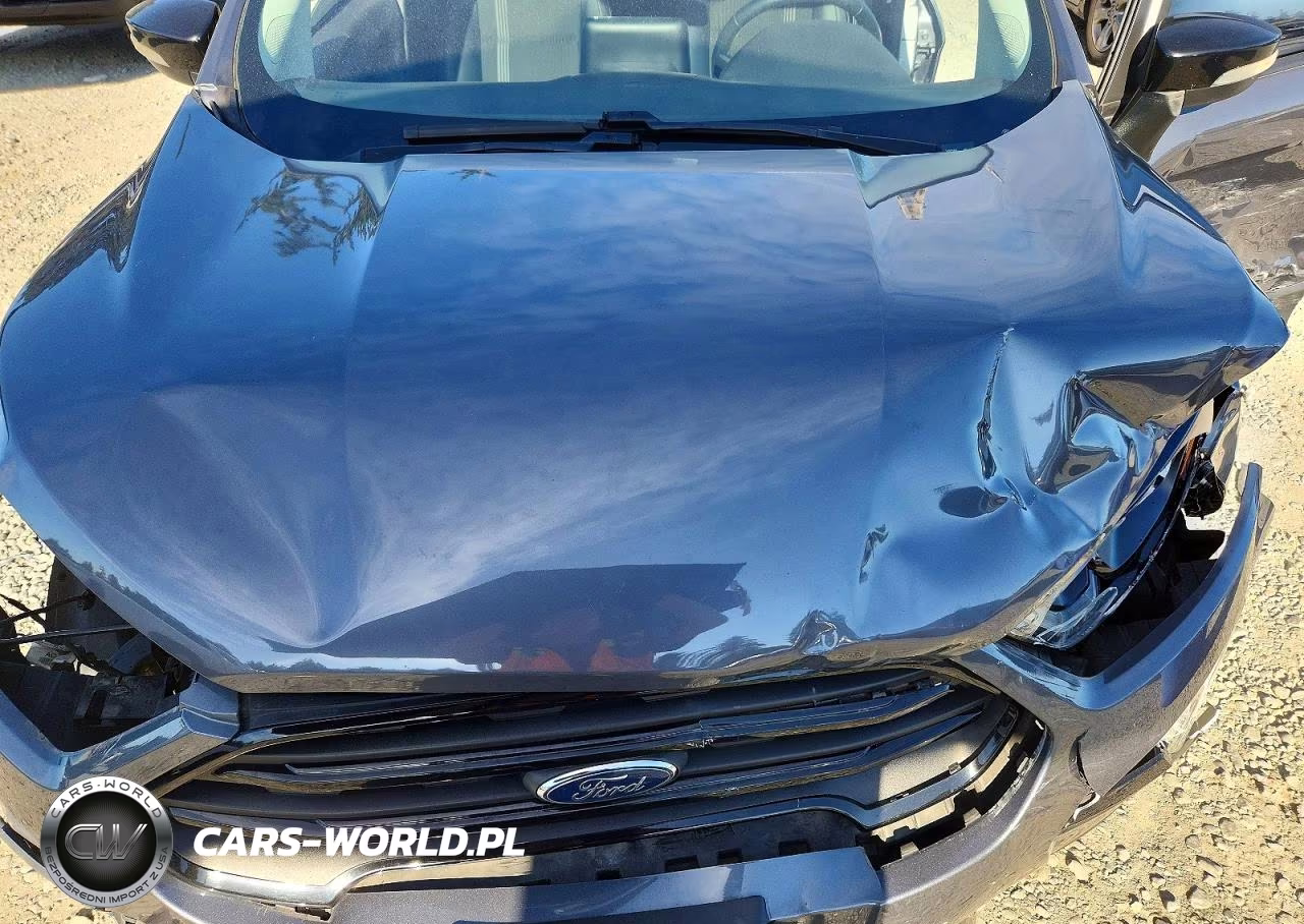 2019 Ford Ecosport Ses VIN:MAJ6S3JL7KC297564 - 12