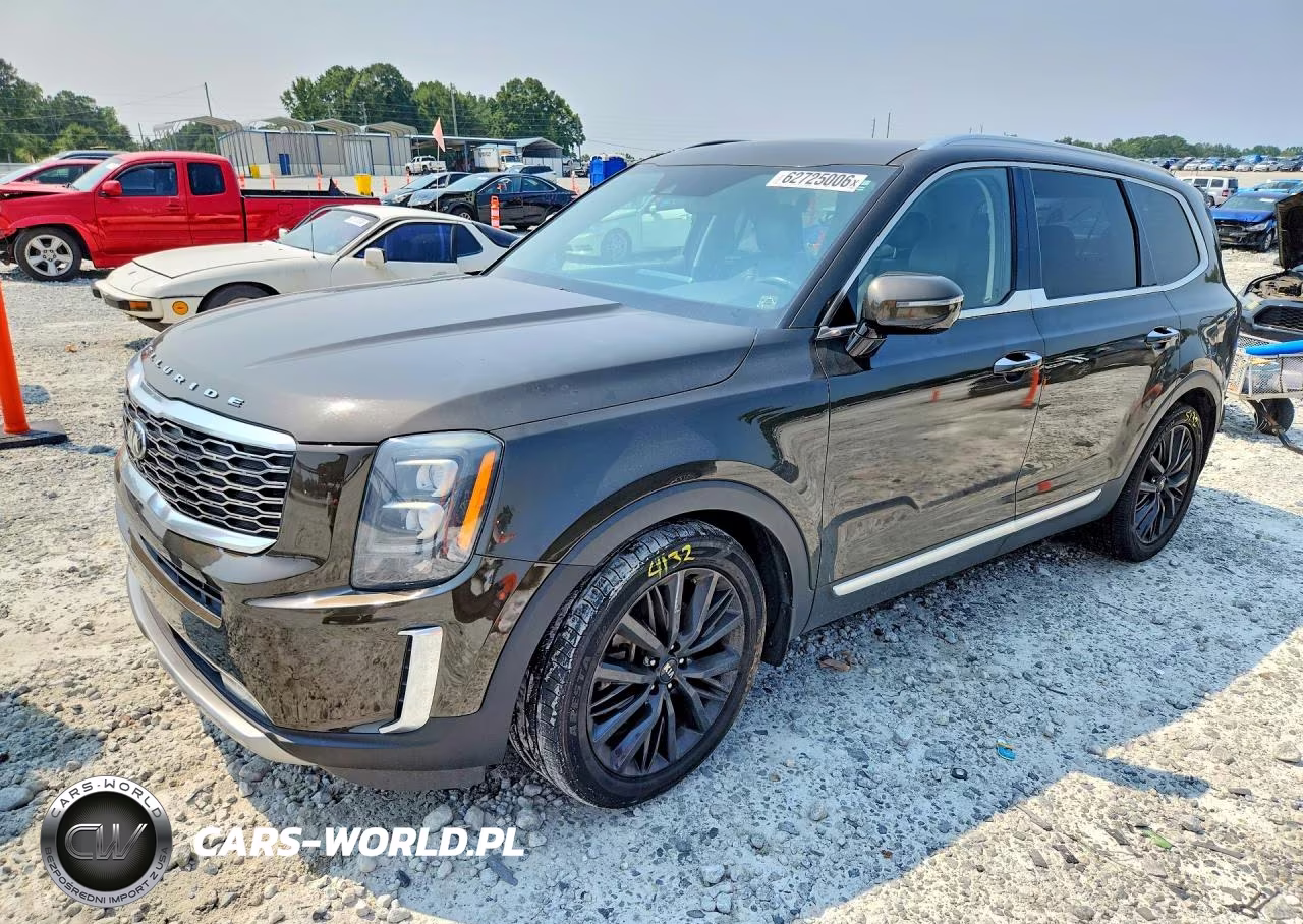 2020 Kia Telluride Sx VIN:5XYP5DHC1LG090618 - 1