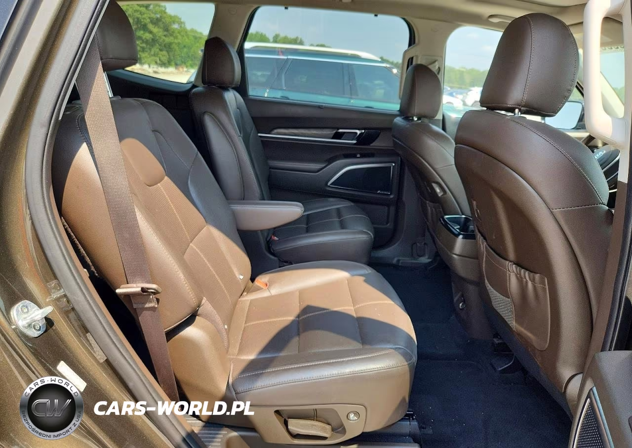 2020 Kia Telluride Sx VIN:5XYP5DHC1LG090618 - 11