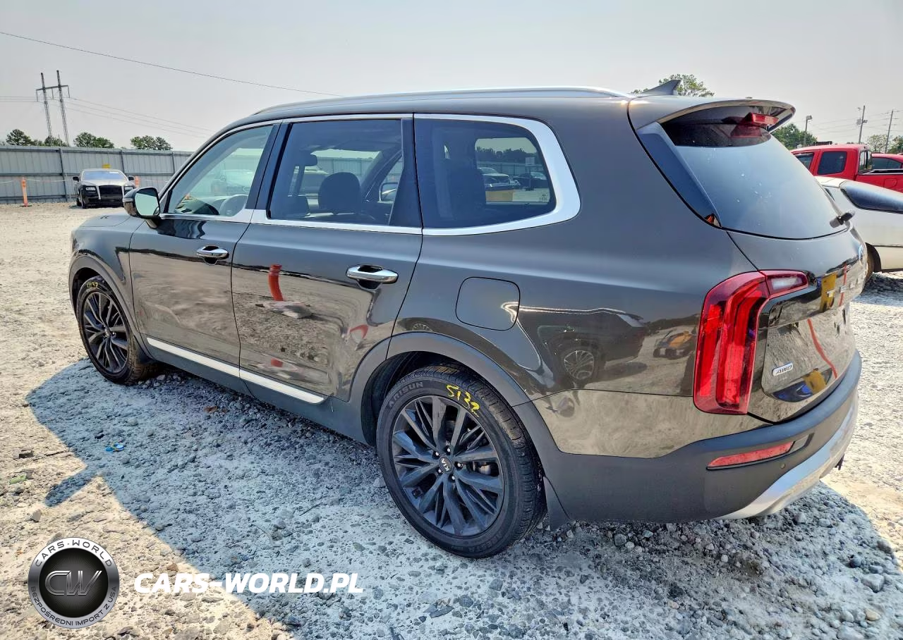 2020 Kia Telluride Sx VIN:5XYP5DHC1LG090618 - 2