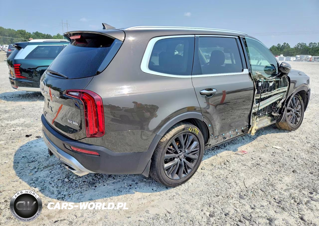 2020 Kia Telluride Sx VIN:5XYP5DHC1LG090618 - 3