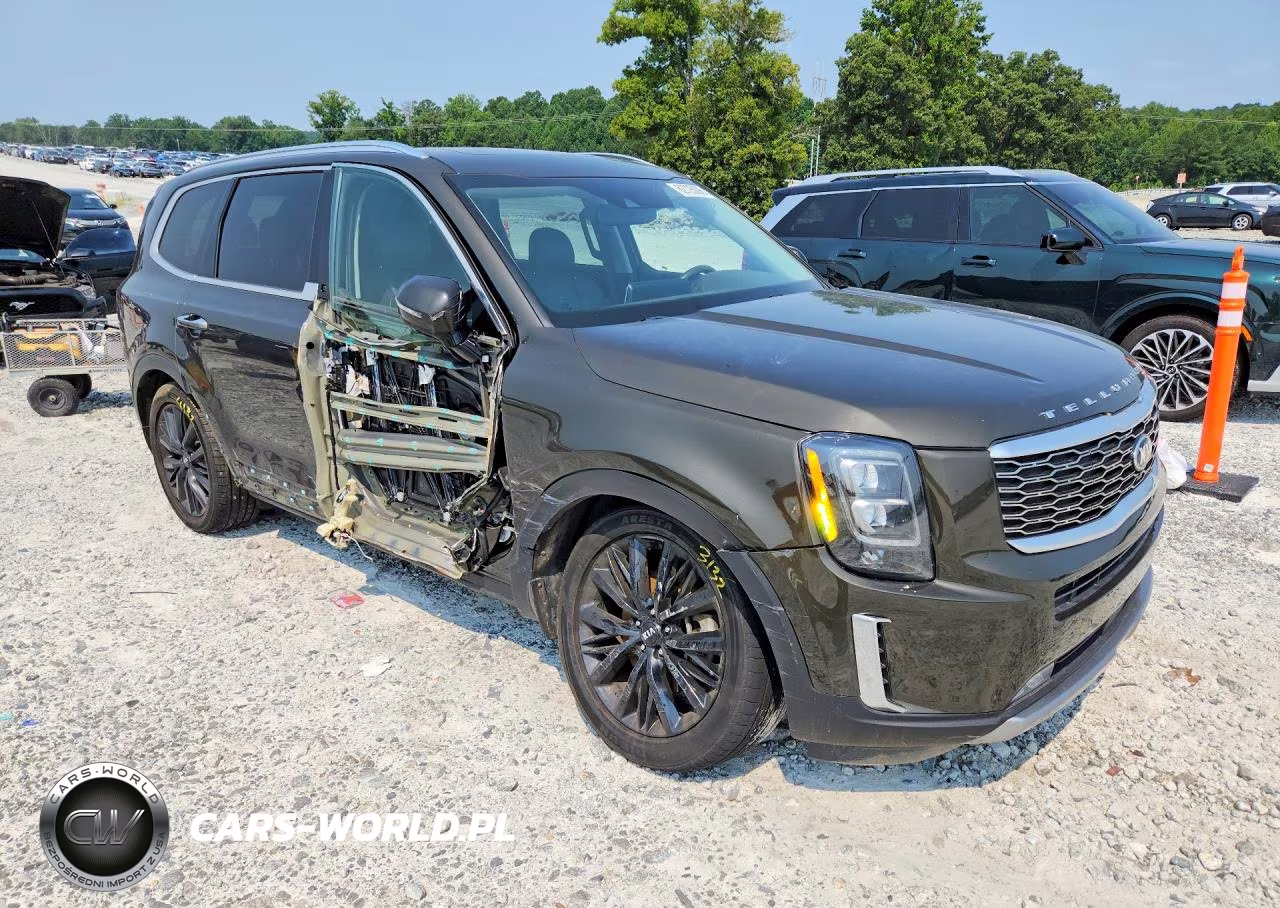 2020 Kia Telluride Sx VIN:5XYP5DHC1LG090618 - 4