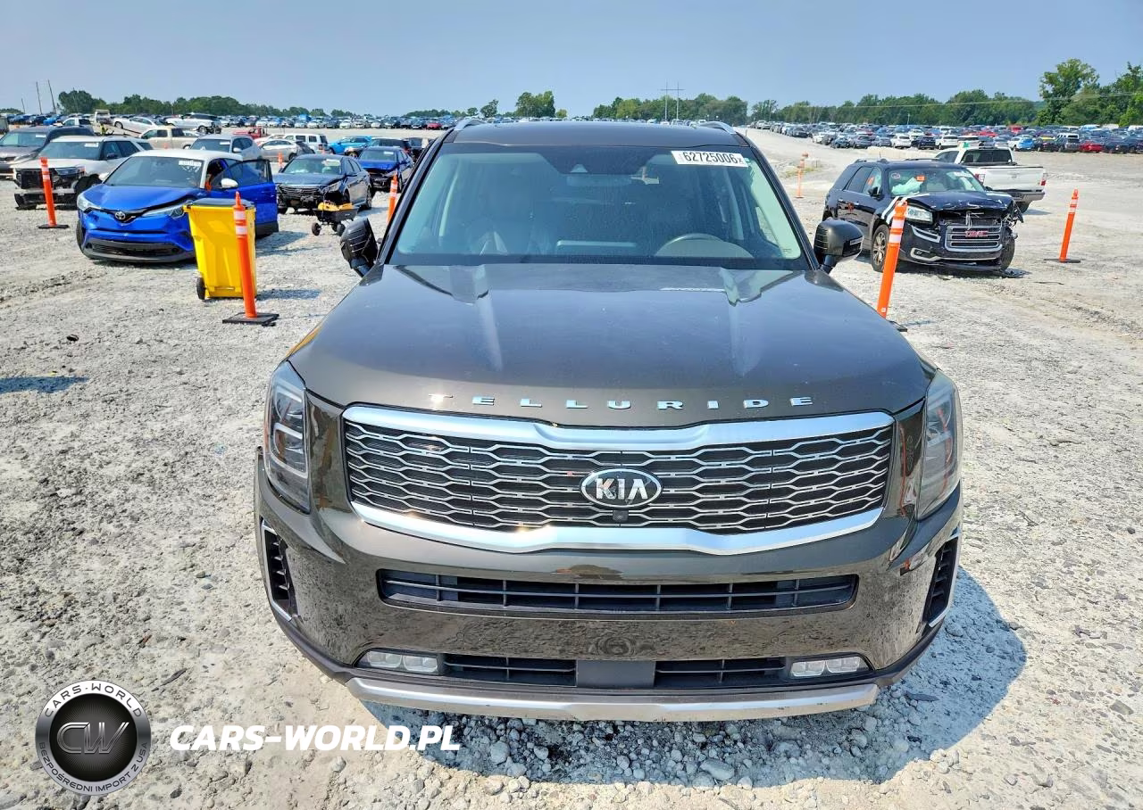 2020 Kia Telluride Sx VIN:5XYP5DHC1LG090618 - 5