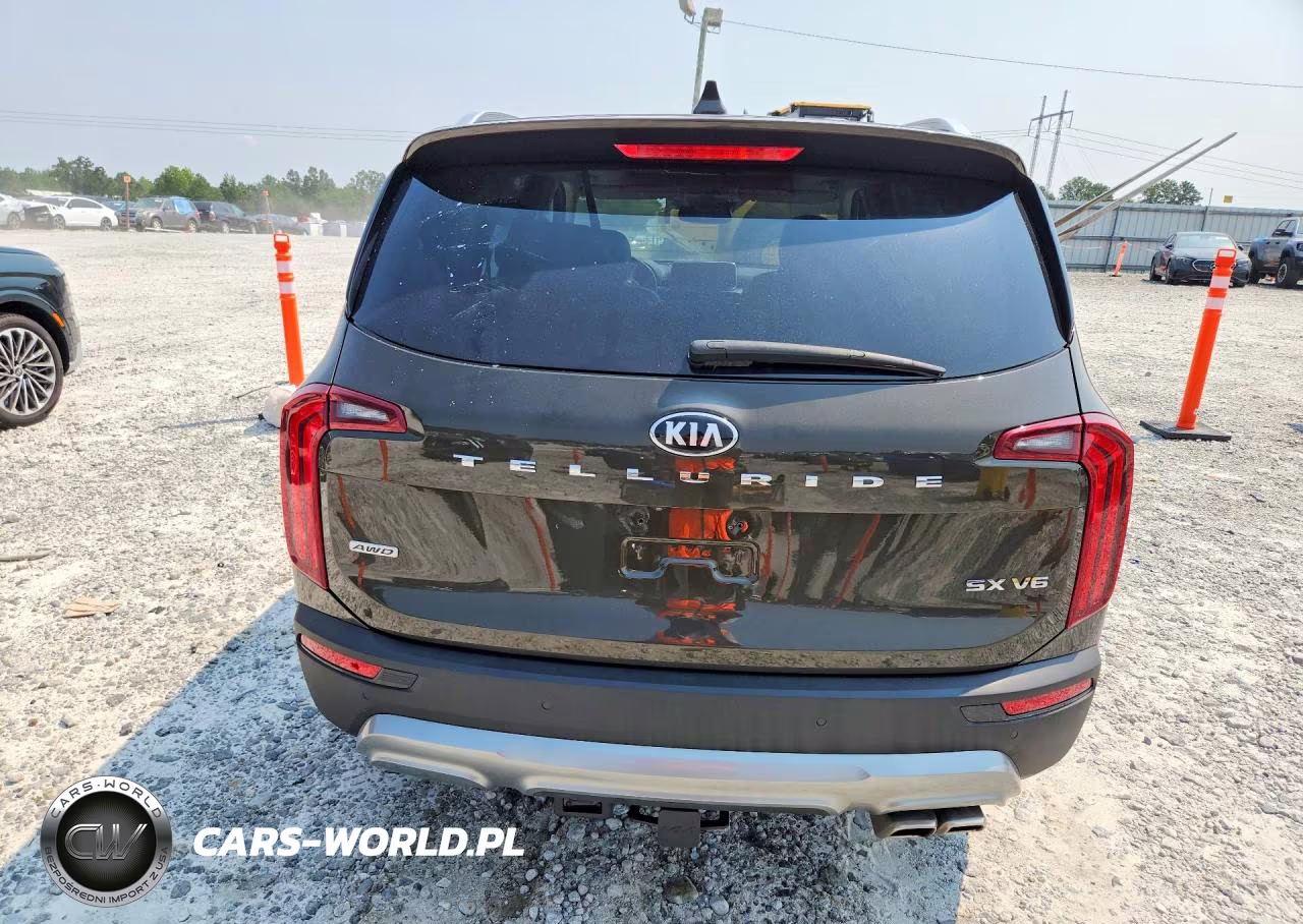 2020 Kia Telluride Sx VIN:5XYP5DHC1LG090618 - 6