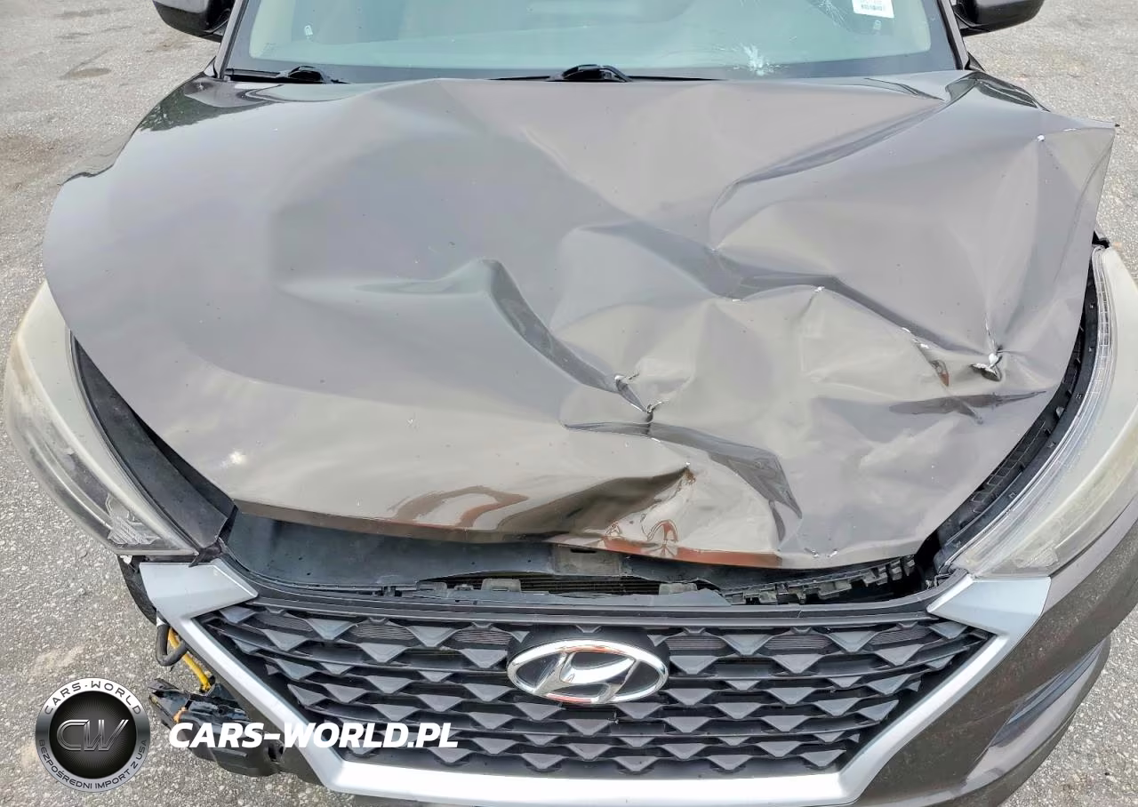 2019 Hyundai Tucson Value VIN:KM8J33A44KU030205 - 12
