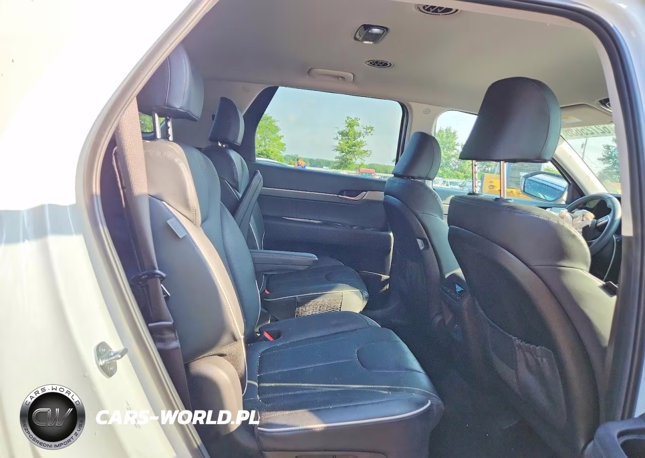 2025 Hyundai Palisade Sel VIN:KM8R2DGE9SU906097 - 11