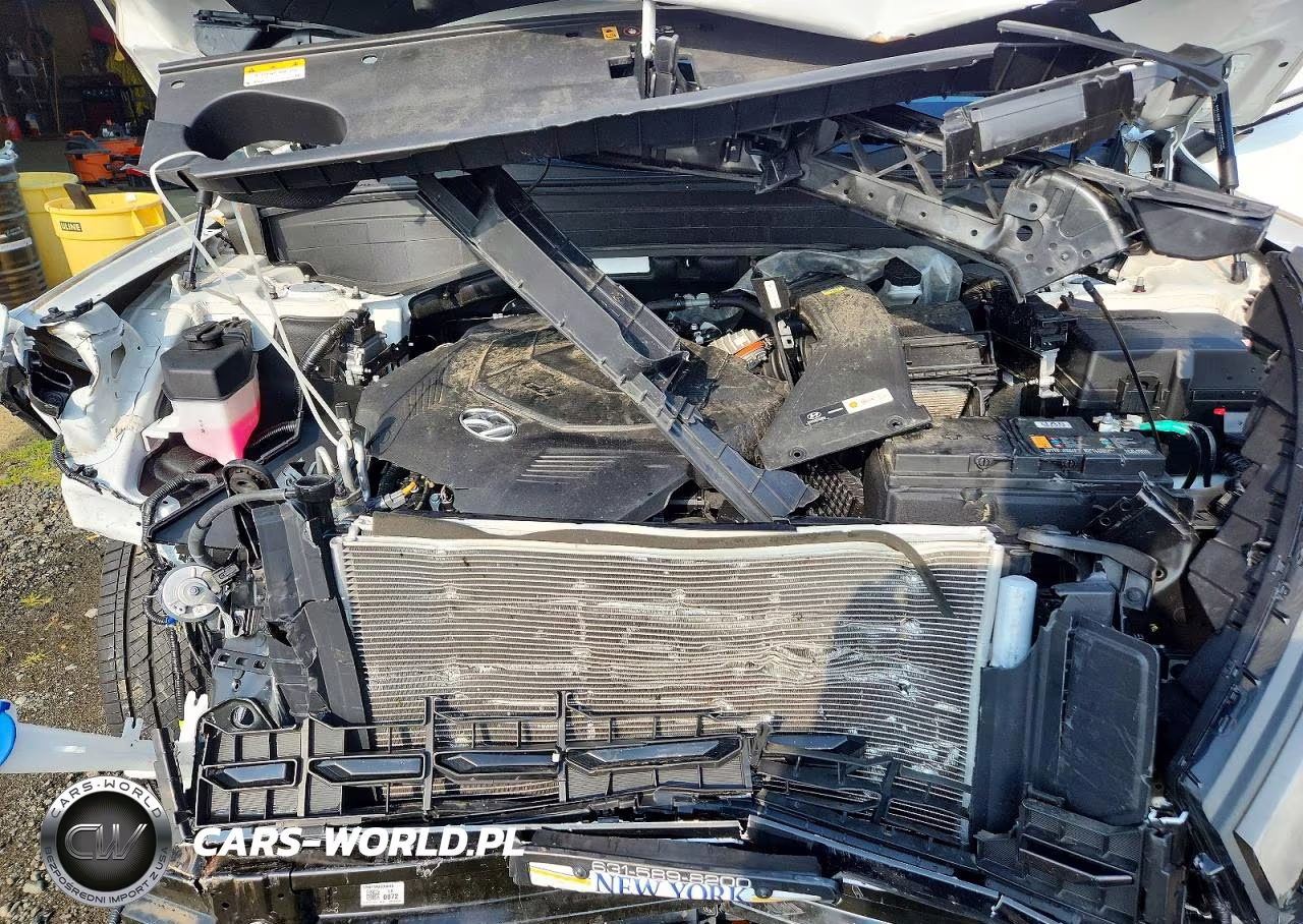 2025 Hyundai Palisade Sel VIN:KM8R2DGE9SU906097 - 12
