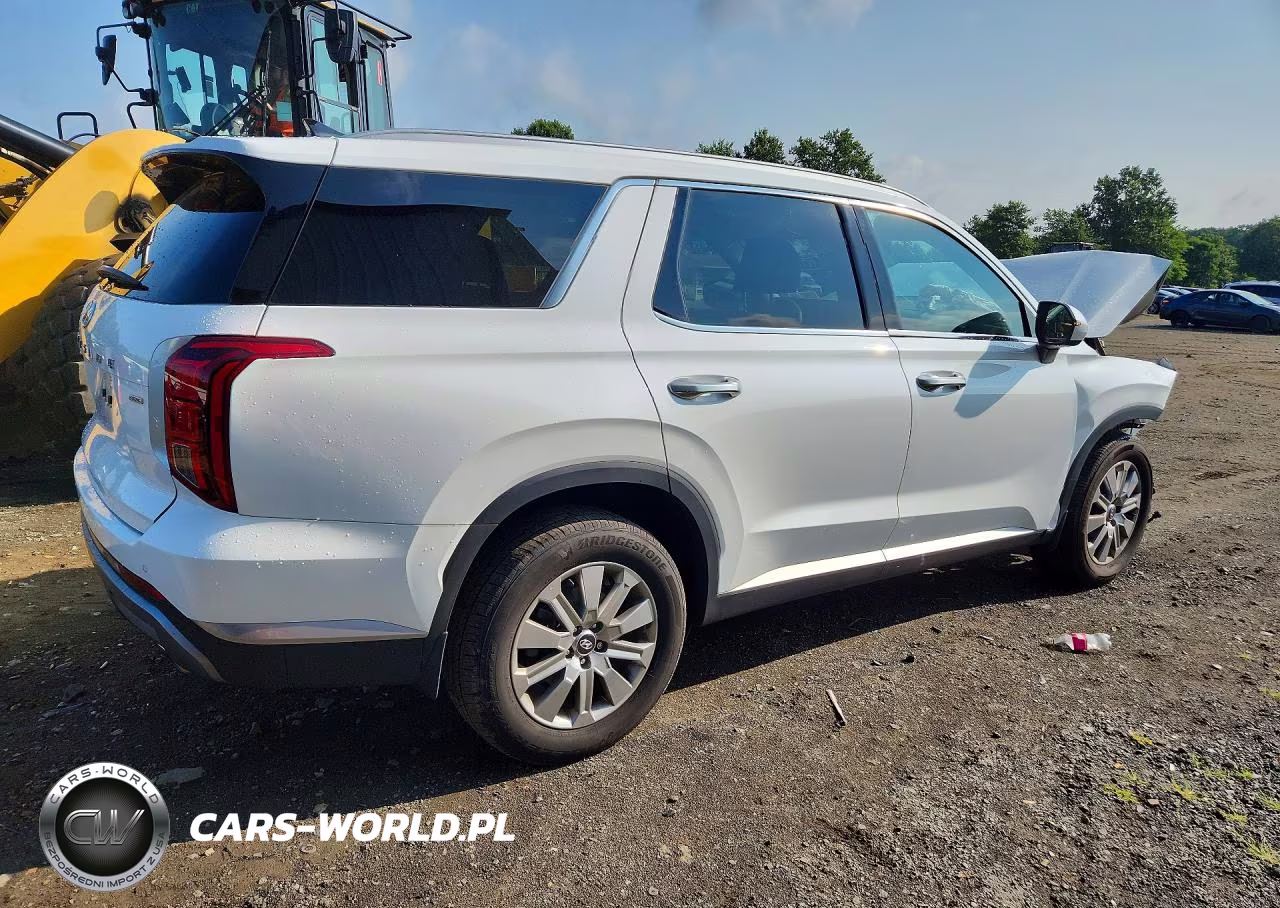 2025 Hyundai Palisade Sel VIN:KM8R2DGE9SU906097 - 3