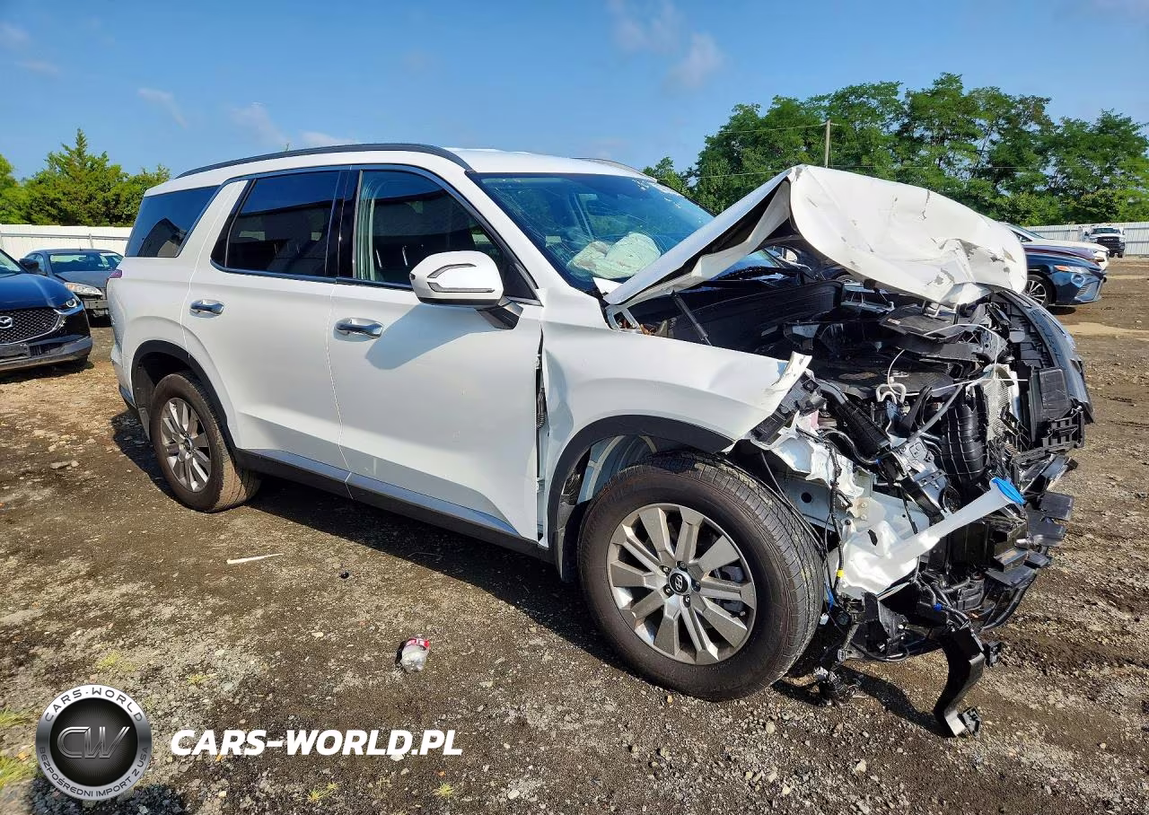 2025 Hyundai Palisade Sel VIN:KM8R2DGE9SU906097 - 4