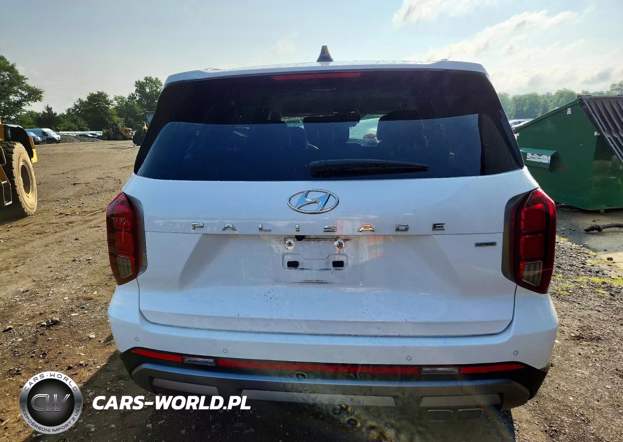 2025 Hyundai Palisade Sel VIN:KM8R2DGE9SU906097 - 6