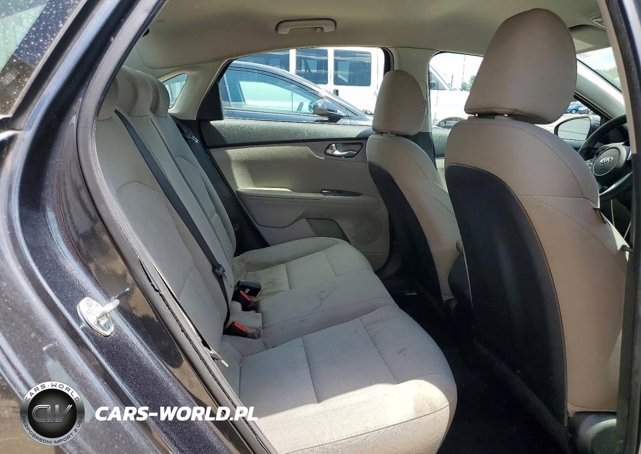 2019 Kia Forte Lxs VIN:3KPF24AD2KE136265 - 10