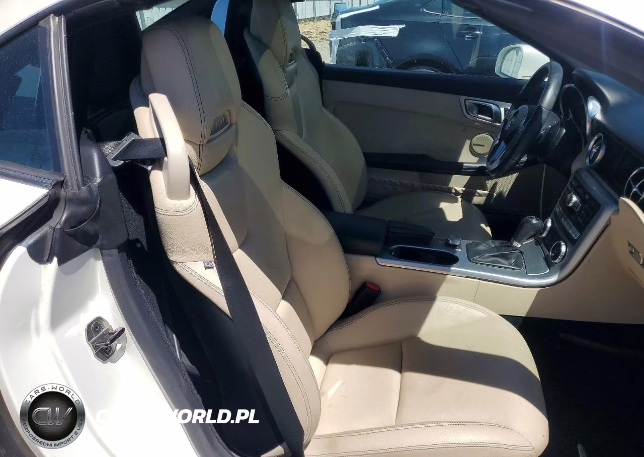 2015 Mercedes-Benz Slk 250 VIN:WDDPK4HAXFF102611 - 10