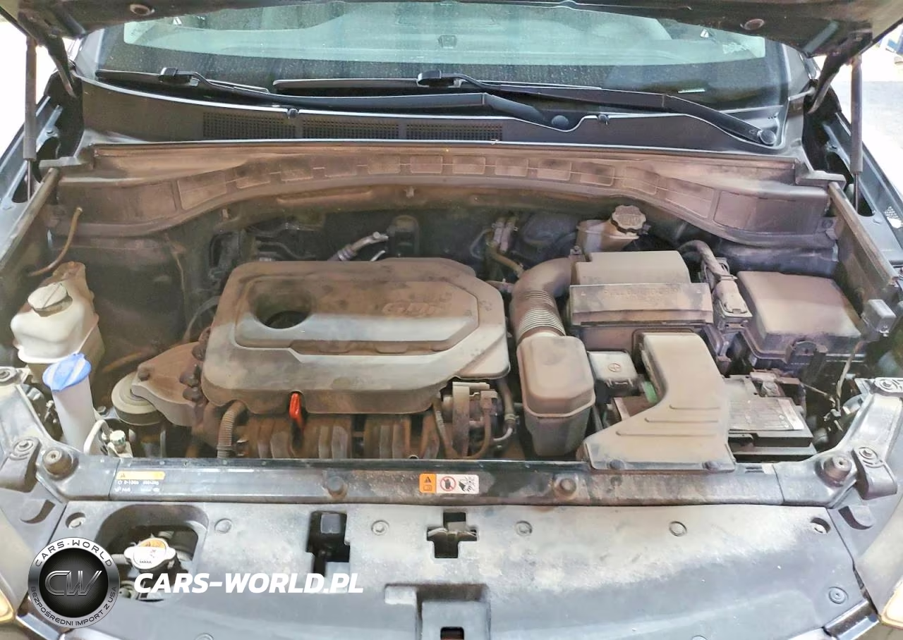 2017 Hyundai Santa Fe Sport 2.4L VIN:5XYZTDLB5HG432236 - 12