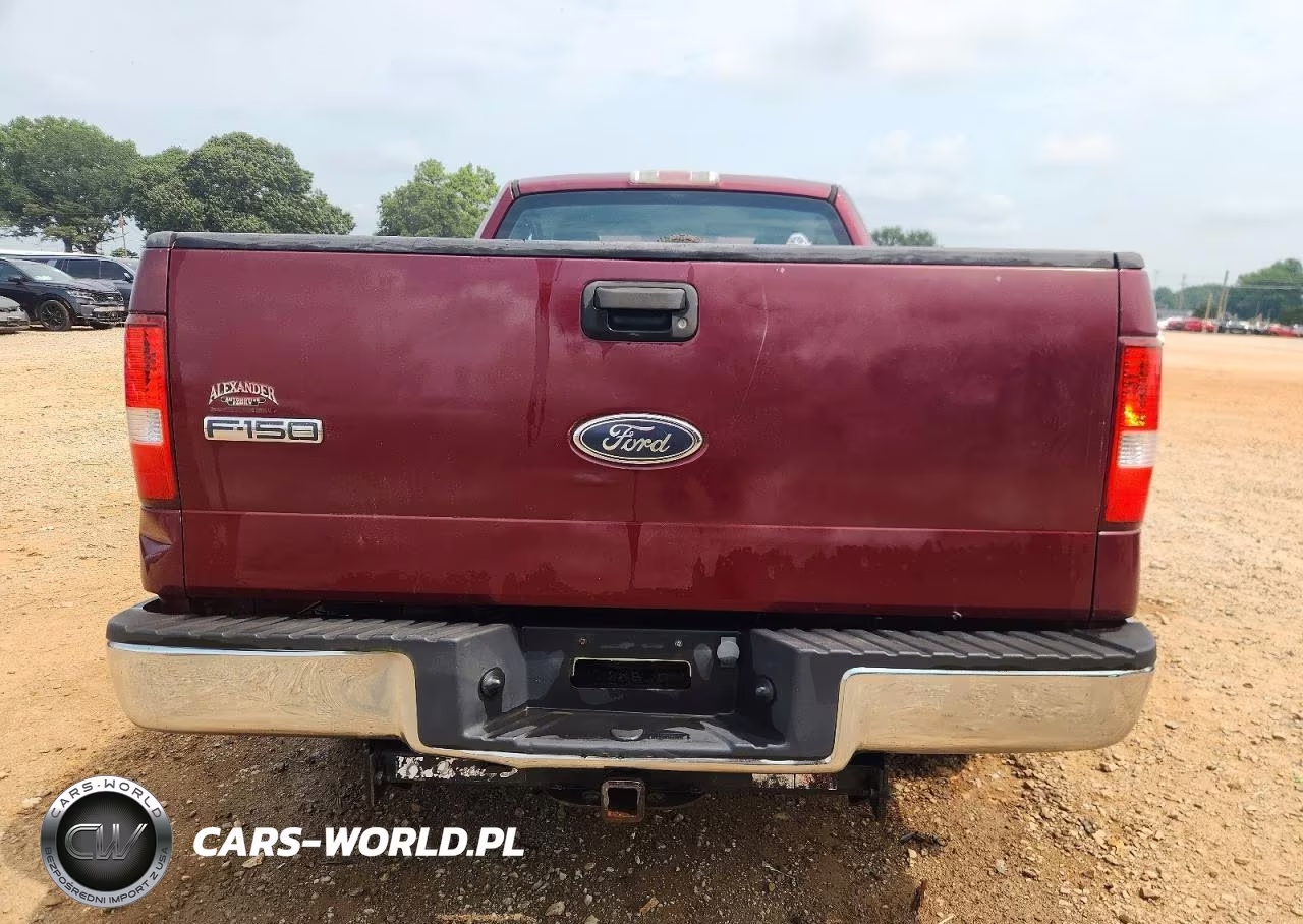 2005 Ford F150 VIN:1FTRF12W45NB69803 - 10