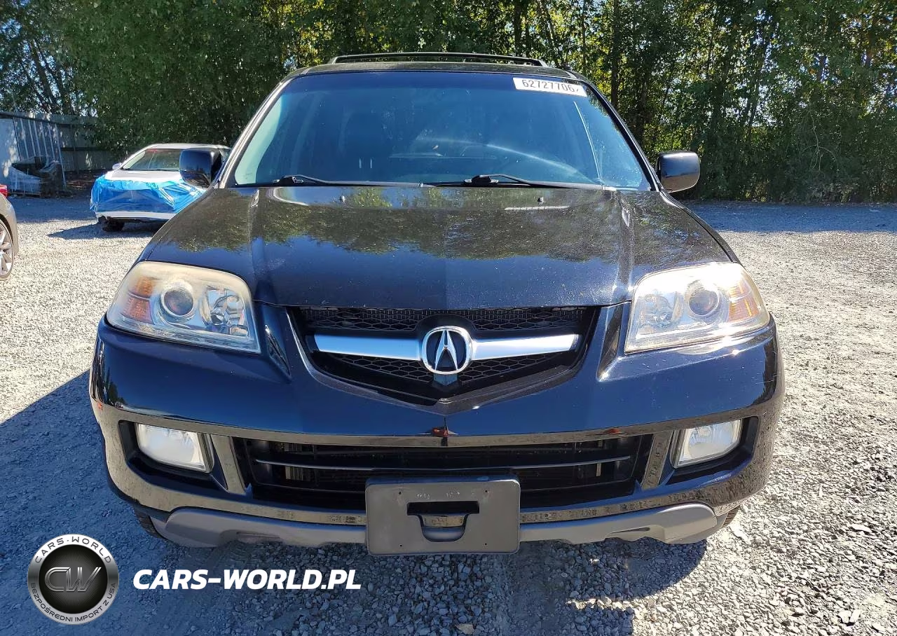 2006 Acura Mdx Touring VIN:2HNYD18626H509222 - 5